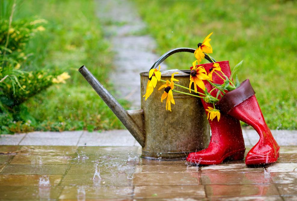 Smarte Gartenideen – auch bei Regenwetter
