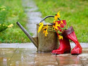 Smarte Gartenideen – auch bei Regenwetter  - Beitragsvorschau
