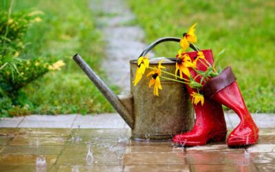 Smarte Gartenideen – auch bei Regenwetter